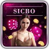 Elite Athletics Store - Premium Sports Equipment & Gear