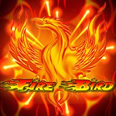 Best Kabaddi & Park Skating Athletic Gear | Premium Track Shoes & Apparel