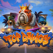 Top Athletics Equipment Store for Track Shoes, Spikes & More | Shop Now