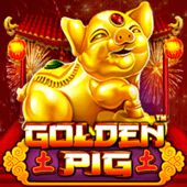 Top Athletics Equipment for Track, Field & Training | ShintoBaseball & Cricket