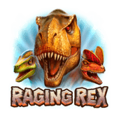 Top Athletics Equipment Store for Track Shoes, Spikes & More | Elevate Your Performance